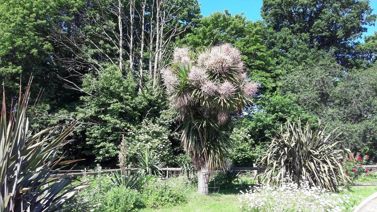 Manoir De La Peignie Bed & Breakfast Merdrignac