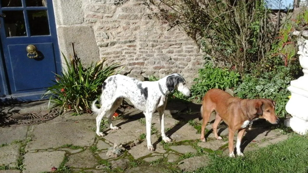 Manoir De La Peignie Bed & Breakfast Merdrignac