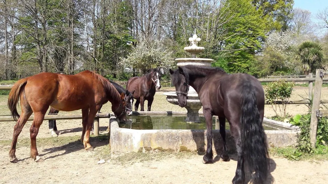 Merdrignac Manoir De La Peignie Bed & Breakfast